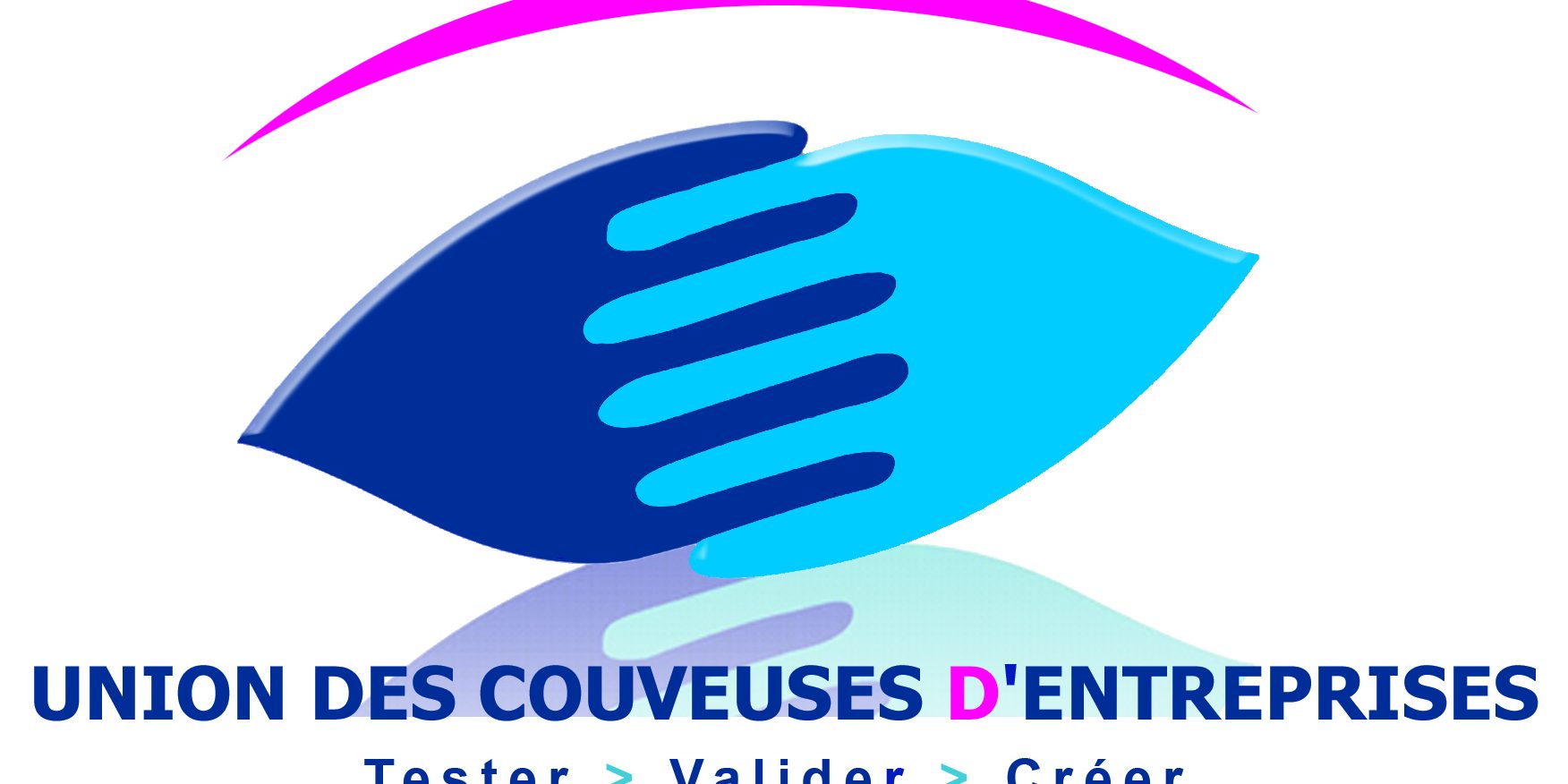 logocouveuse-bat_HD2