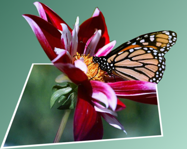 meet'up créativité