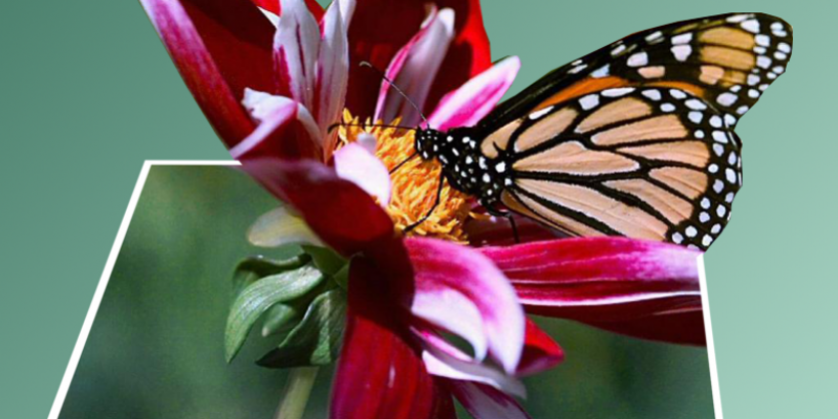 meet’up créativité meet'up créativité