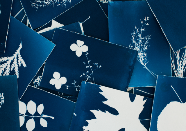 Cyanotype